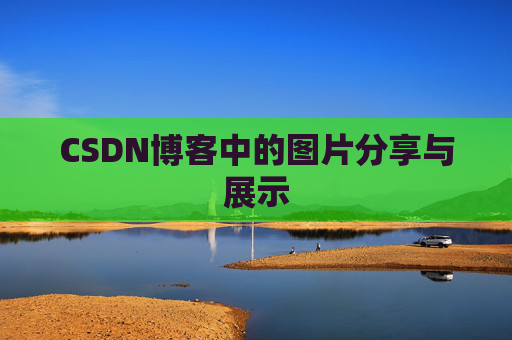 CSDN博客中的图片分享与展示